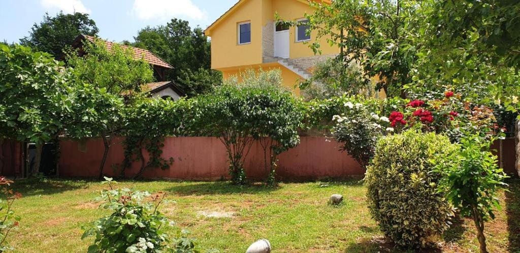 Apartments Roses Dobrinj المظهر الخارجي الصورة