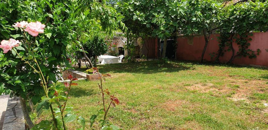 Apartments Roses Dobrinj المظهر الخارجي الصورة